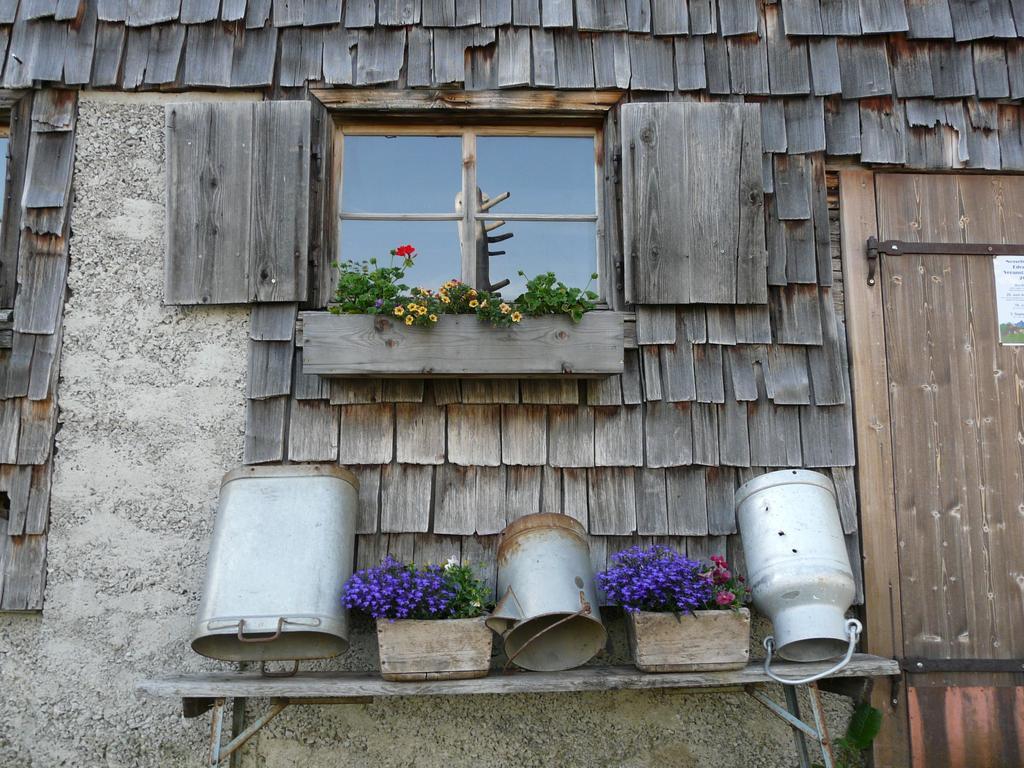 Landhaus Schatz เนสเซิลเวงเลอ ภายนอก รูปภาพ