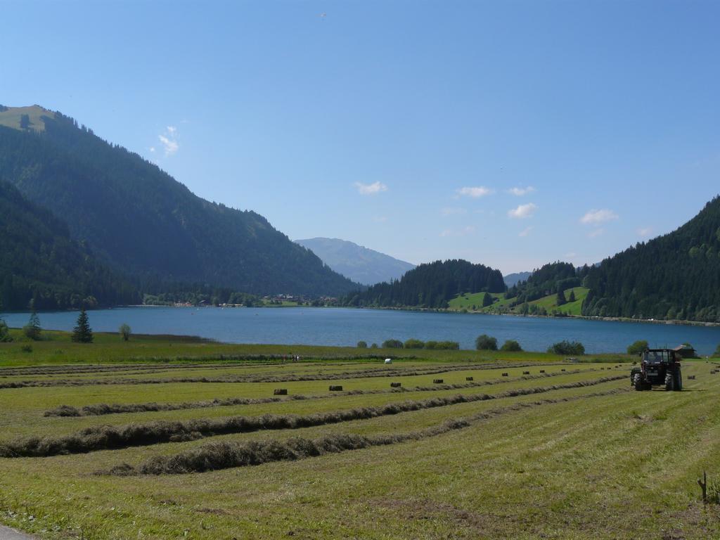 Landhaus Schatz เนสเซิลเวงเลอ ภายนอก รูปภาพ